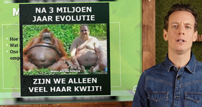 het-gezondheidsvirus-les1